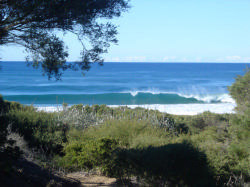 Culburra Local Breaks
